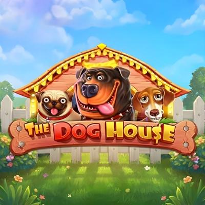 dog-house-thumbnail