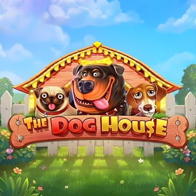 dog-house-thumbnail