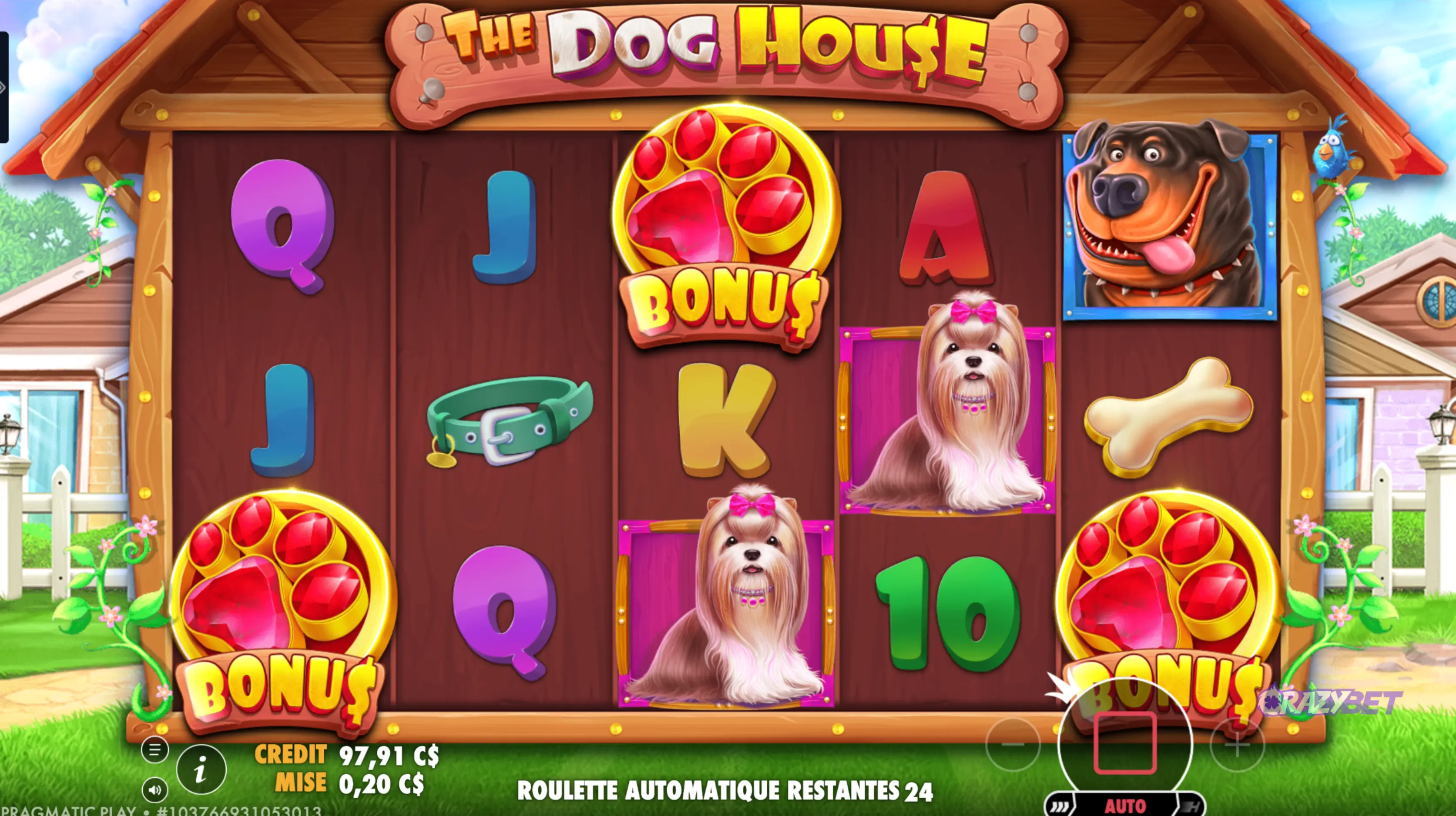 the-dog-house-bonus-trigger-3-paw-scatters